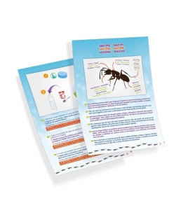 BUKI - Mini monde des fourmis FS4206