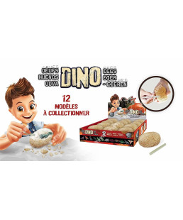 BUKI - OEUFS DINO A DETERRER - DISPLAY AD6O