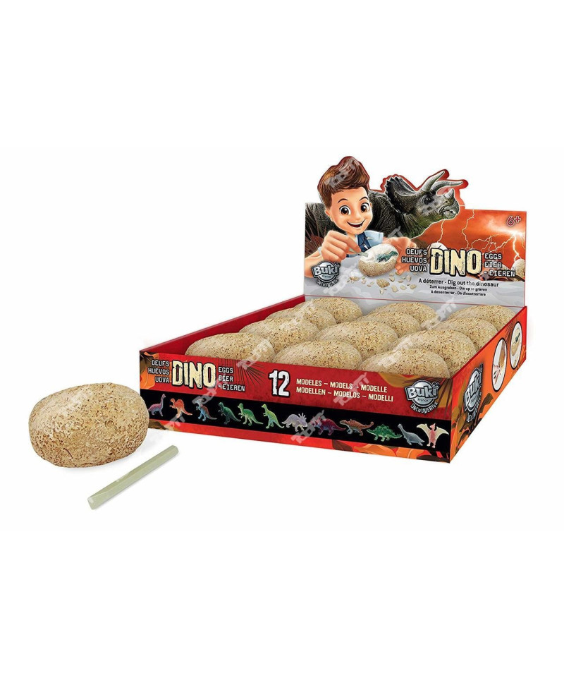 BUKI - OEUFS DINO A DETERRER - DISPLAY AD6O