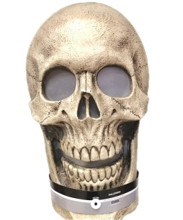 Toopty - TETE DE MORT LUMINEUSE XY 014953
