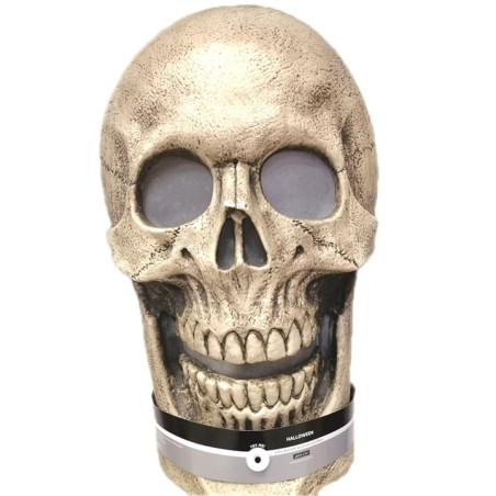 Toopty - TETE DE MORT LUMINEUSE XY 014953