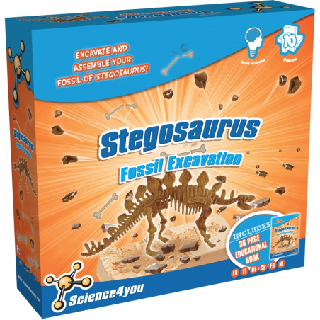 SCIENCE4YOU - FOSSILE DU STEGOSAURUS
