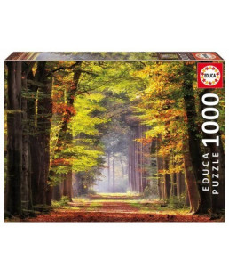 EDUCA - PUZZLE 1000  PASEO  OTCOAL