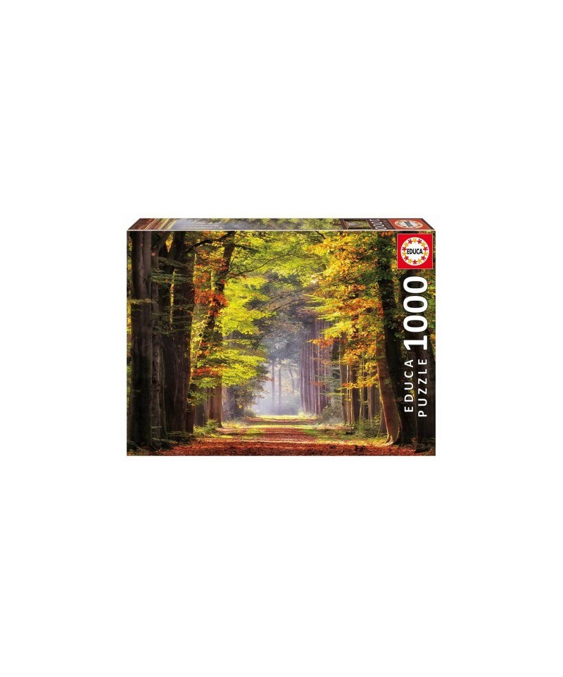 EDUCA - PUZZLE 1000  PASEO  OTCOAL
